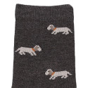 CHILDREN´S PUPPIES EMBROIDERY SHORT SOCKS BY CONDOR.