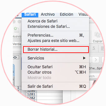 Okaaspain cerrar sesion lc_session_bug__safari_01.jpg